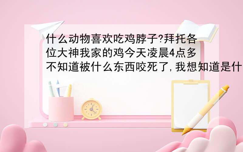 什么动物喜欢吃鸡脖子?拜托各位大神我家的鸡今天凌晨4点多不知道被什么东西咬死了,我想知道是什么咬的.线索（那个东西只吃鸡头和鸡脖子,别的都不吃,鸡的翅膀和脚的骨头都出臼了,血没