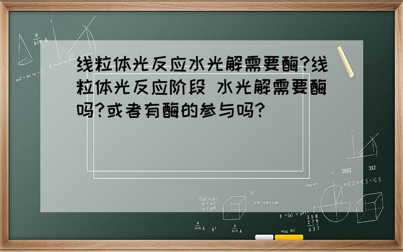 线粒体光反应水光解需要酶?线粒体光反应阶段 水光解需要酶吗?或者有酶的参与吗?