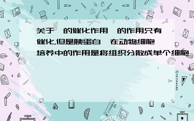 关于酶的催化作用酶的作用只有催化.但是胰蛋白酶在动物细胞培养中的作用是将组织分散成单个细胞,貌似是什么把蛋白质水解了还是怎么的...可是酶的作用不是只有【催化】么,在这种情况