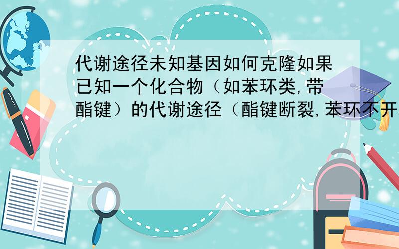 代谢途径未知基因如何克隆如果已知一个化合物（如苯环类,带酯键）的代谢途径（酯键断裂,苯环不开环）,如何克隆出与这代谢途径相关的酶的基因?