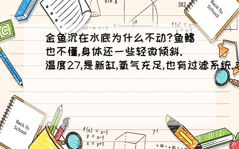 金鱼沉在水底为什么不动?鱼鳍也不懂,身体还一些轻微倾斜.温度27,是新缸,氧气充足,也有过滤系统.求高