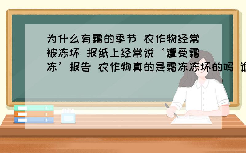 为什么有霜的季节 农作物经常被冻坏 报纸上经常说‘遭受霜冻’报告 农作物真的是霜冻冻坏的吗 谁可以用物