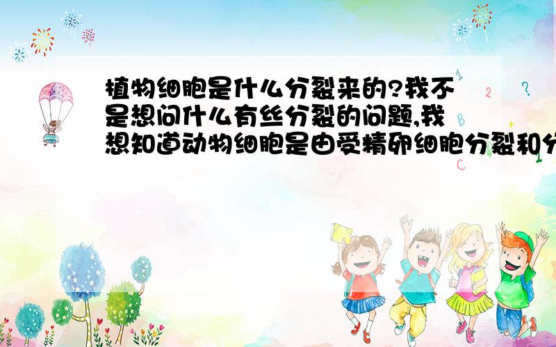 植物细胞是什么分裂来的?我不是想问什么有丝分裂的问题,我想知道动物细胞是由受精卵细胞分裂和分化而来,那么植物细胞呢?