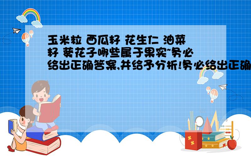 玉米粒 西瓜籽 花生仁 油菜籽 葵花子哪些属于果实~务必给出正确答案,并给予分析!务必给出正确答案,并给予分析!