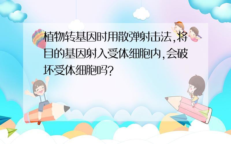 植物转基因时用散弹射击法,将目的基因射入受体细胞内,会破坏受体细胞吗?