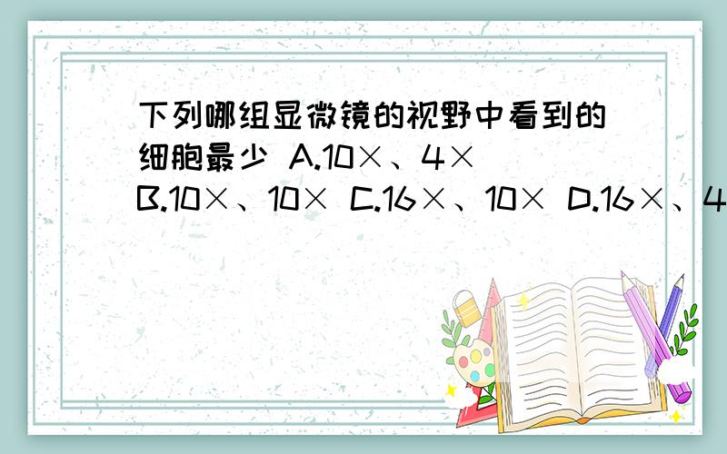 下列哪组显微镜的视野中看到的细胞最少 A.10×、4× B.10×、10× C.16×、10× D.16×、40×