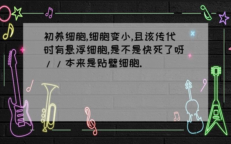 初养细胞,细胞变小,且该传代时有悬浮细胞,是不是快死了呀//本来是贴壁细胞.