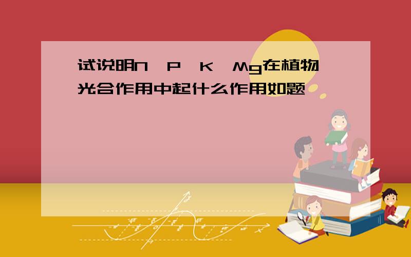 试说明N、P、K、Mg在植物光合作用中起什么作用如题