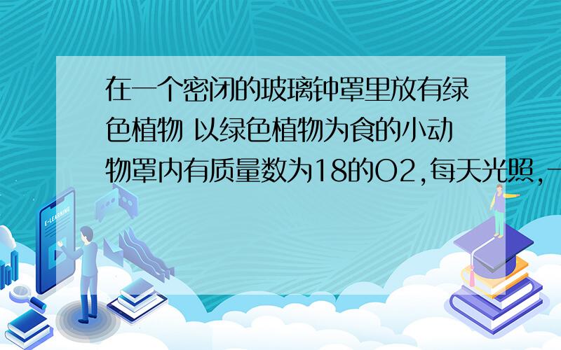 在一个密闭的玻璃钟罩里放有绿色植物 以绿色植物为食的小动物罩内有质量数为18的O2,每天光照,一段时间后18O为什么会在动植物体内均有