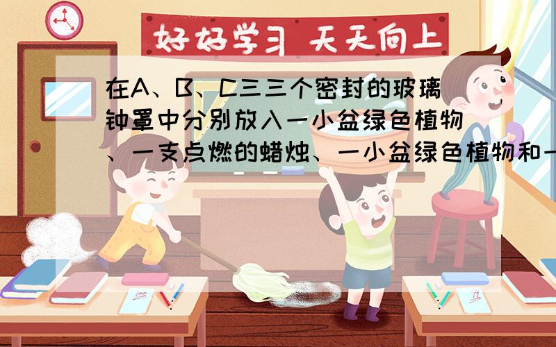 在A、B、C三三个密封的玻璃钟罩中分别放入一小盆绿色植物、一支点燃的蜡烛、一小盆绿色植物和一支点燃的蜡实验A和B是C的（ ）自然界中存在怎样的物质循环?