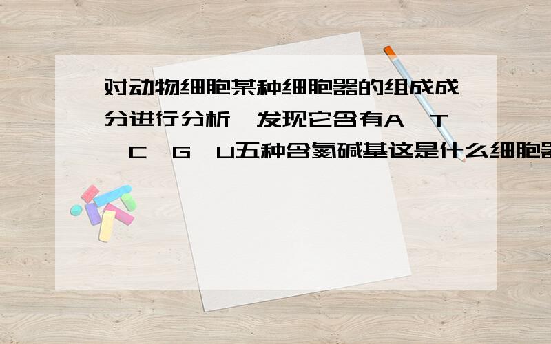 对动物细胞某种细胞器的组成成分进行分析,发现它含有A、T、C、G、U五种含氮碱基这是什么细胞器?为什么?