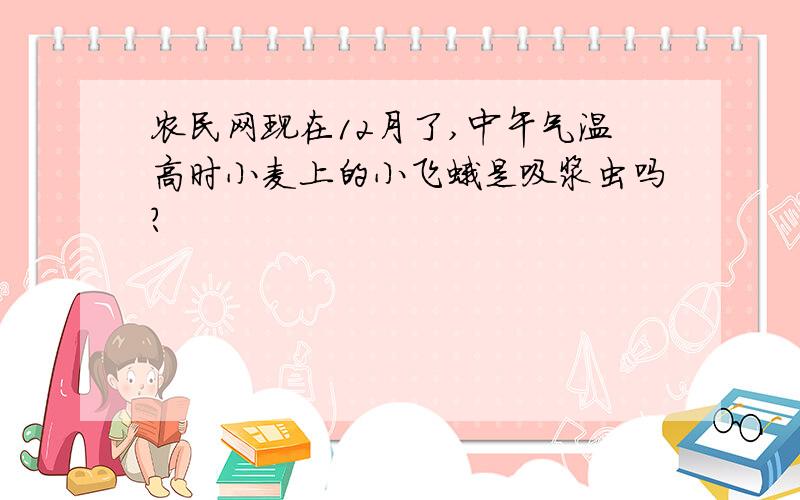 农民网现在12月了,中午气温高时小麦上的小飞蛾是吸浆虫吗?