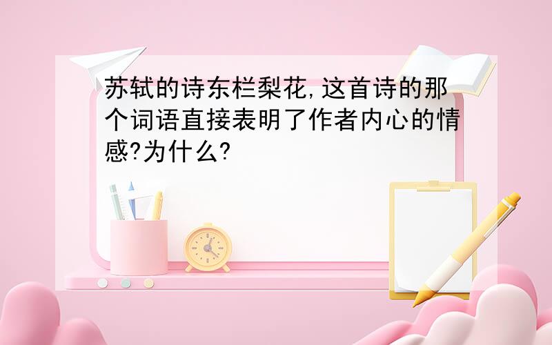 苏轼的诗东栏梨花,这首诗的那个词语直接表明了作者内心的情感?为什么?