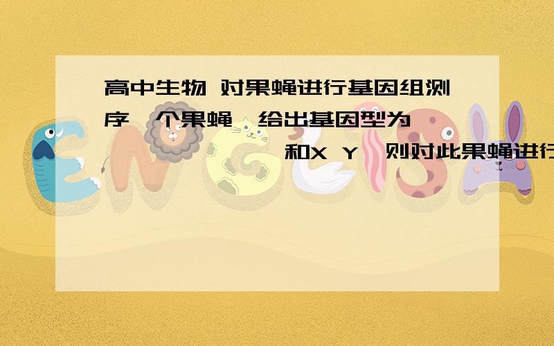 高中生物 对果蝇进行基因组测序一个果蝇,给出基因型为ⅡⅡ、Ⅲ Ⅲ、Ⅳ Ⅳ和X Y,则对此果蝇进行进行基因组测序,需要检测5条染色体上的脱氧核苷酸排序,对不? 为什么?