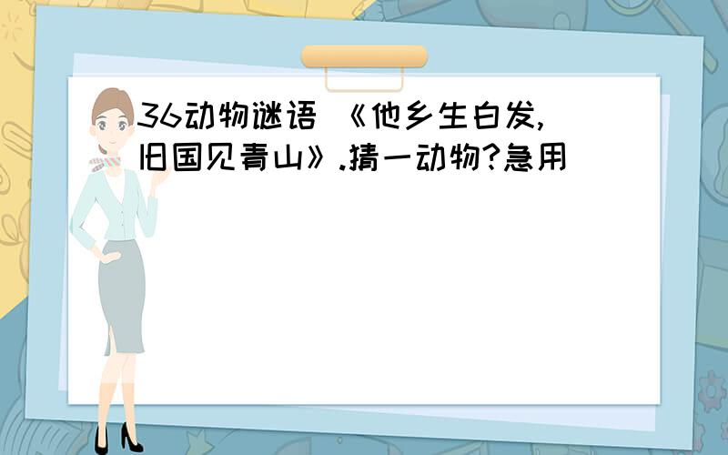 36动物谜语 《他乡生白发,旧国见青山》.猜一动物?急用