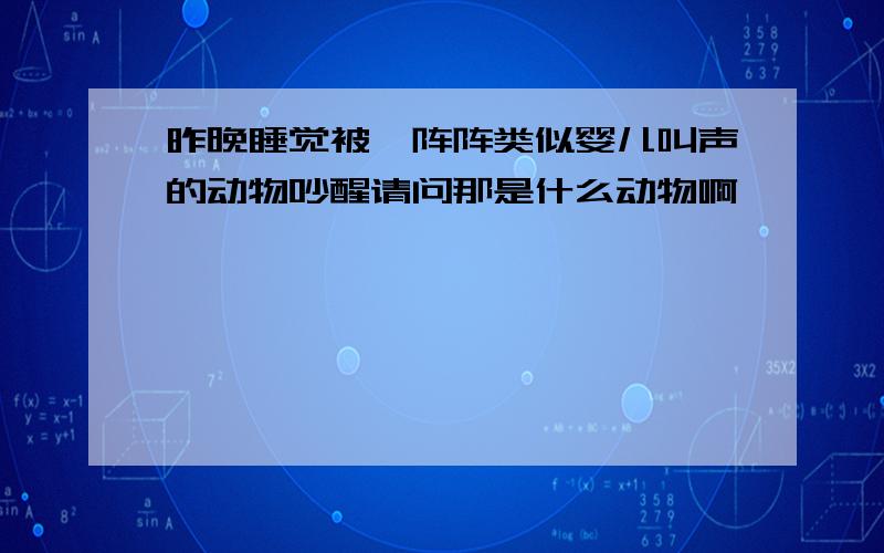 昨晚睡觉被一阵阵类似婴儿叫声的动物吵醒请问那是什么动物啊