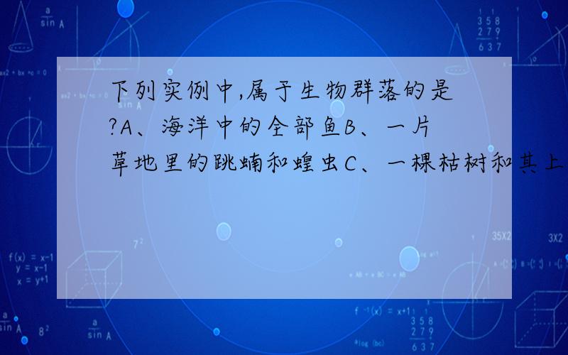 下列实例中,属于生物群落的是?A、海洋中的全部鱼B、一片草地里的跳蝻和蝗虫C、一棵枯树和其上面的苔藓、真菌、昆虫、蜗牛D、一个池塘的藻类、细菌、蚌、水生昆虫等全部生物E、潮湿的