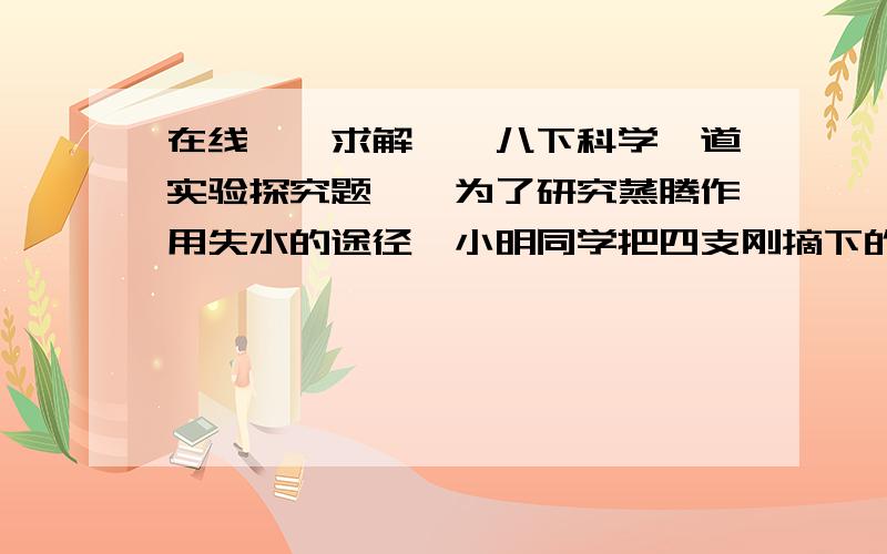 在线``求解``八下科学一道实验探究题``为了研究蒸腾作用失水的途径,小明同学把四支刚摘下的果树枝（叶片大小相近、叶片个数一样）,用凡士林对叶片进行不同的处理：第一组,不涂凡士林