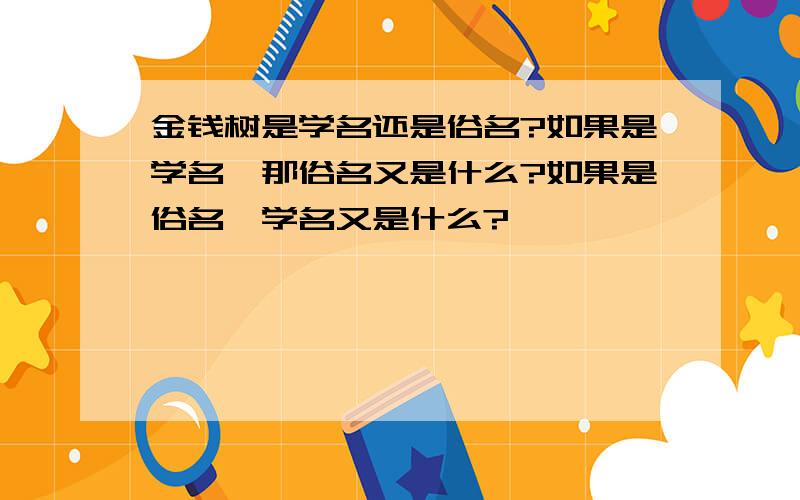 金钱树是学名还是俗名?如果是学名,那俗名又是什么?如果是俗名,学名又是什么?