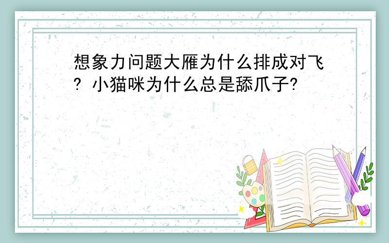 想象力问题大雁为什么排成对飞? 小猫咪为什么总是舔爪子?