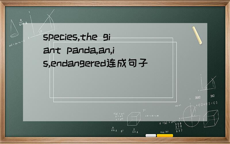 species,the giant panda,an,is,endangered连成句子