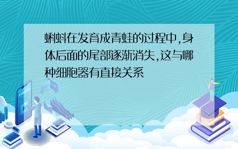 蝌蚪在发育成青蛙的过程中,身体后面的尾部逐渐消失,这与哪种细胞器有直接关系