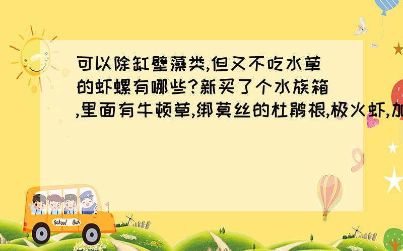 可以除缸壁藻类,但又不吃水草的虾螺有哪些?新买了个水族箱,里面有牛顿草,绑莫丝的杜鹃根,极火虾,加了一支玻璃管的硝化细菌.今早发现缸壁有藻类斑点出现了,为了清除掉,想引入一些可以