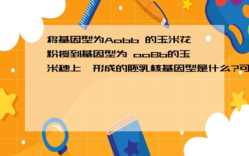 将基因型为Aabb 的玉米花粉授到基因型为 aaBb的玉米穗上,形成的胚乳核基因型是什么?可以举出一两个吗?