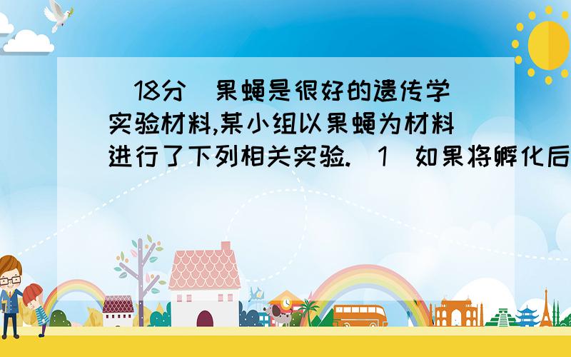 (18分)果蝇是很好的遗传学实验材料,某小组以果蝇为材料进行了下列相关实验.(1)如果将孵化后4～7d的长翅果蝇幼虫放在35～37℃环境下(正常培养温度为25℃)处理6～24h,结果培养出的成虫中出现