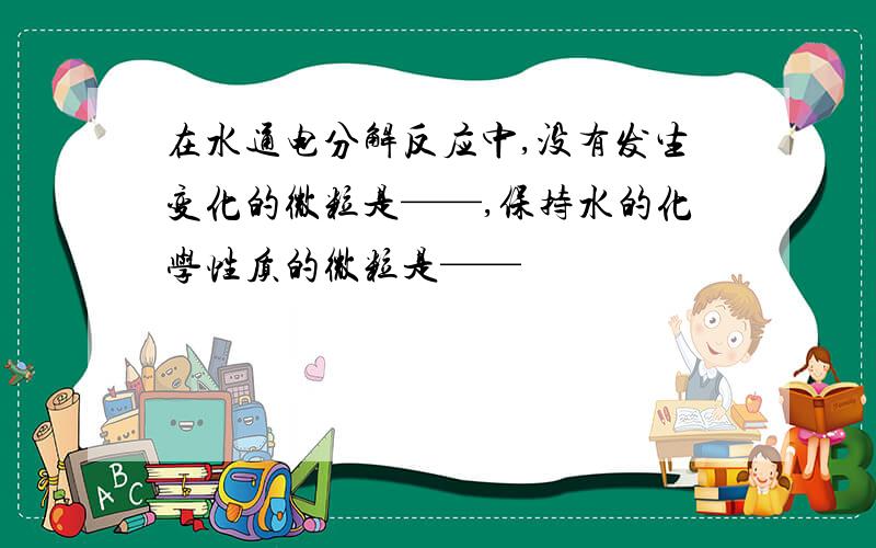 在水通电分解反应中,没有发生变化的微粒是——,保持水的化学性质的微粒是——