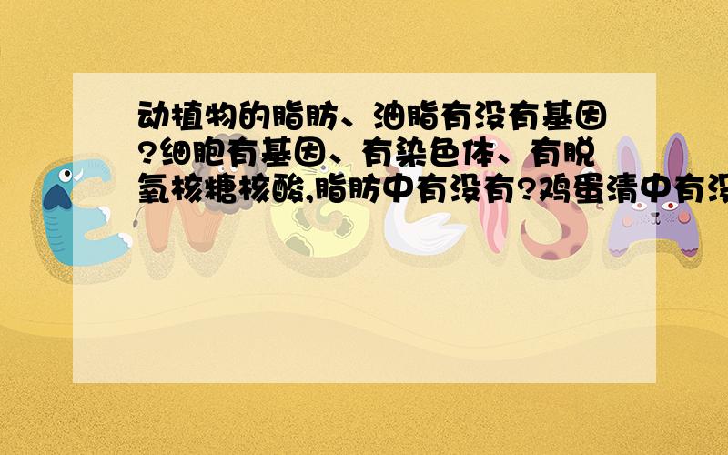 动植物的脂肪、油脂有没有基因?细胞有基因、有染色体、有脱氧核糖核酸,脂肪中有没有?鸡蛋清中有没有?