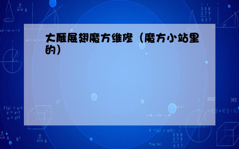 大雁展翅魔方维修（魔方小站里的）