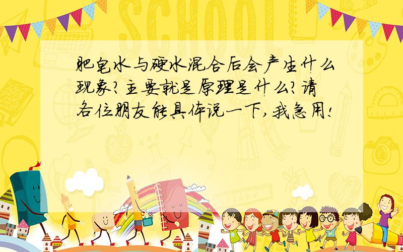 肥皂水与硬水混合后会产生什么现象?主要就是原理是什么?请各位朋友能具体说一下,我急用!