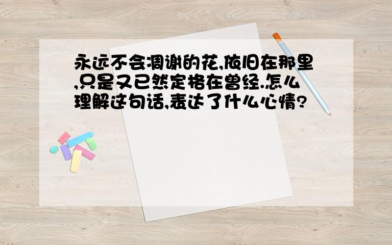 永远不会凋谢的花,依旧在那里,只是又已然定格在曾经.怎么理解这句话,表达了什么心情?