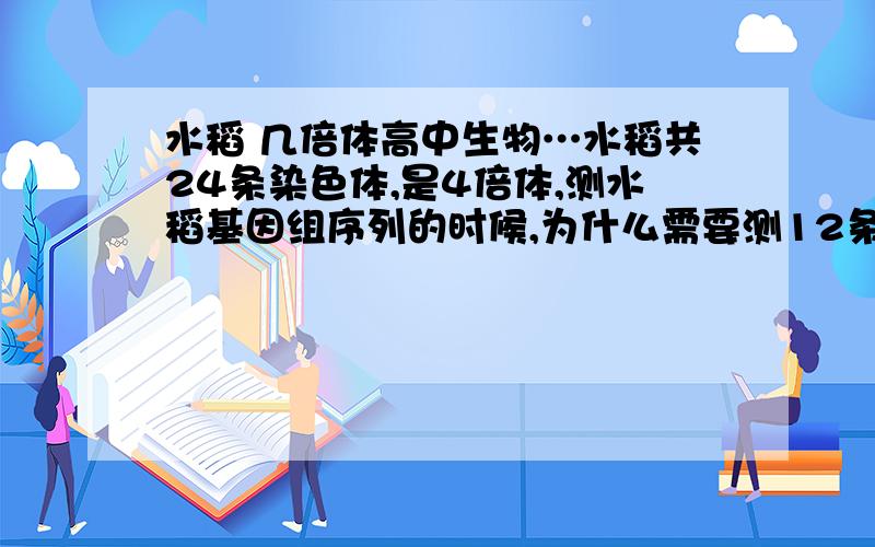 水稻 几倍体高中生物…水稻共24条染色体,是4倍体,测水稻基因组序列的时候,为什么需要测12条染色体