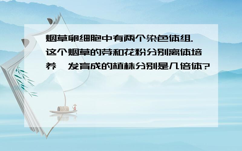 烟草卵细胞中有两个染色体组.这个烟草的芽和花粉分别离体培养,发育成的植株分别是几倍体?