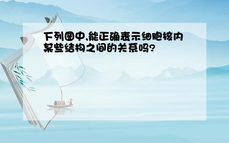 下列图中,能正确表示细胞核内某些结构之间的关系吗?