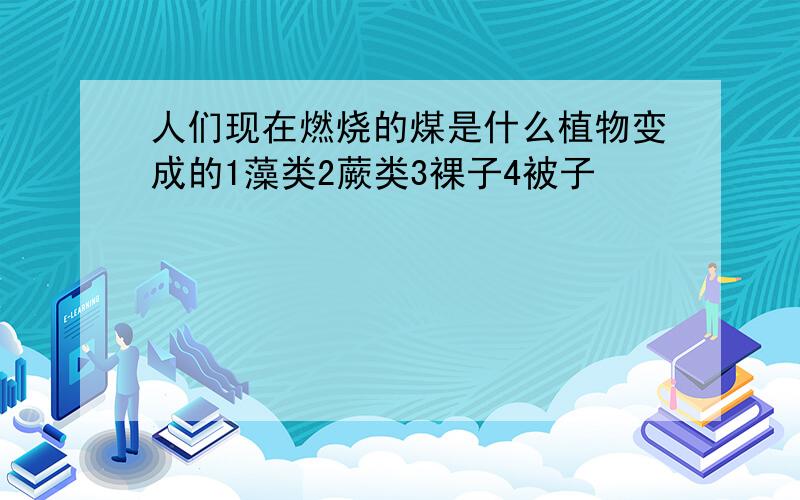 人们现在燃烧的煤是什么植物变成的1藻类2蕨类3裸子4被子