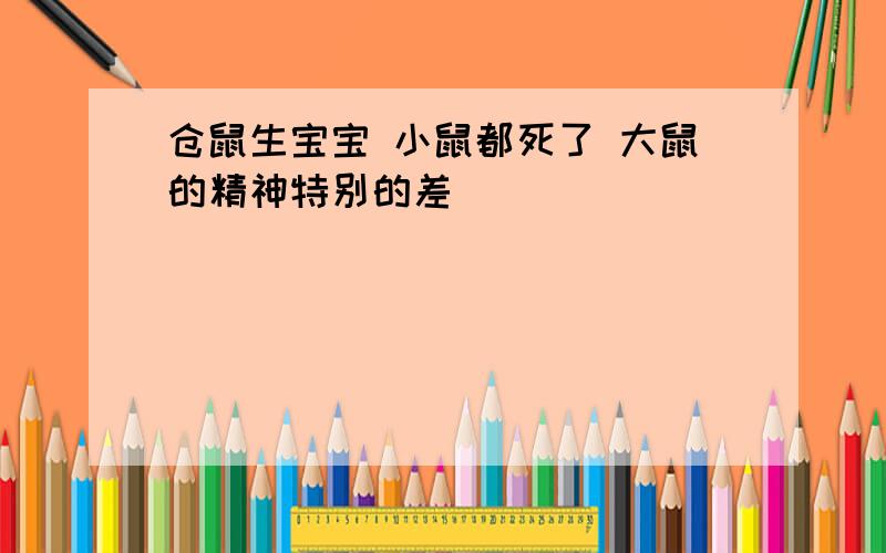 仓鼠生宝宝 小鼠都死了 大鼠的精神特别的差