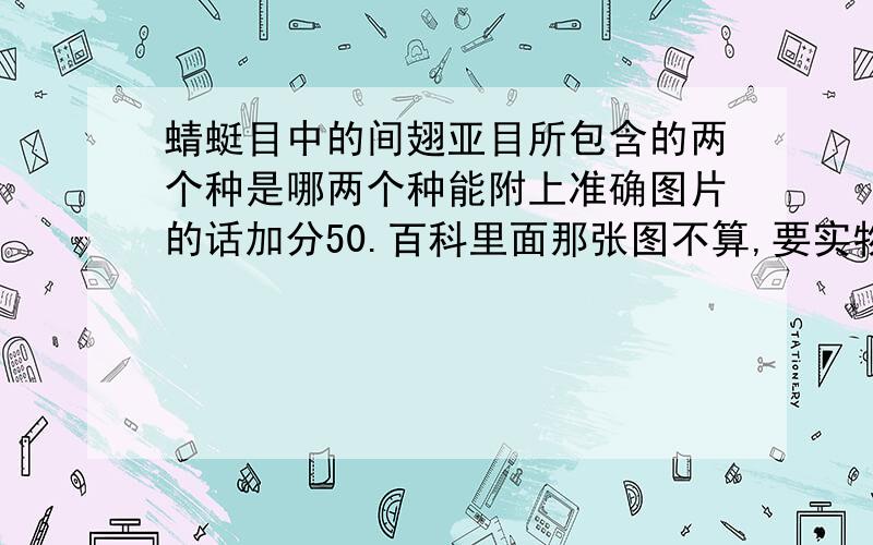 蜻蜓目中的间翅亚目所包含的两个种是哪两个种能附上准确图片的话加分50.百科里面那张图不算,要实物的照片,不要化石的.