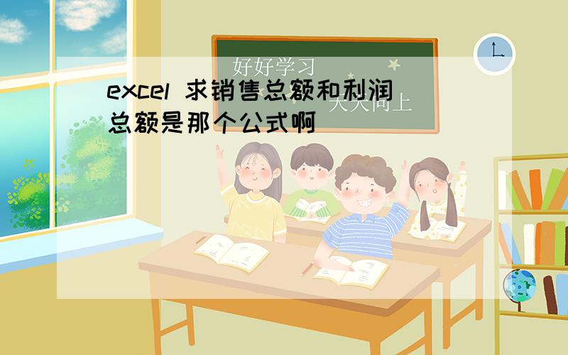 excel 求销售总额和利润总额是那个公式啊