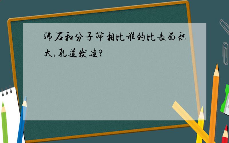 沸石和分子筛相比谁的比表面积大,孔道发达?