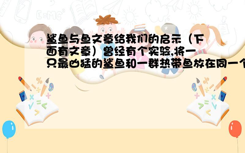 鲨鱼与鱼文章给我们的启示（下面有文章）曾经有个实验,将一只最凶猛的鲨鱼和一群热带鱼放在同一个池子里,然后用强化玻璃将它们隔开.最初,鲨鱼不断冲撞那块看不到的玻璃,无奈只是徒