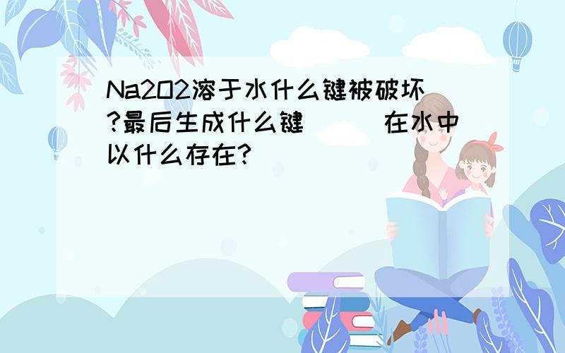 Na2O2溶于水什么键被破坏?最后生成什么键```在水中以什么存在?