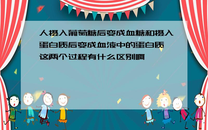 人摄入葡萄糖后变成血糖和摄入蛋白质后变成血液中的蛋白质,这两个过程有什么区别啊