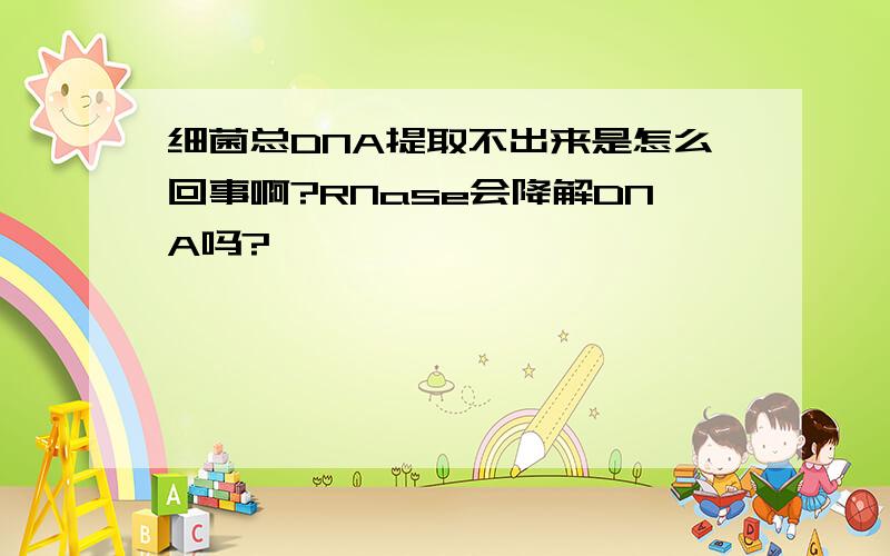 细菌总DNA提取不出来是怎么回事啊?RNase会降解DNA吗?