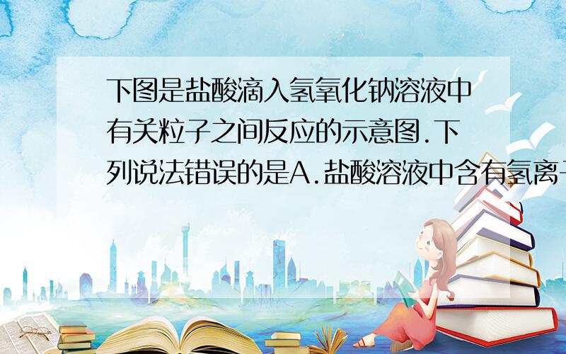 下图是盐酸滴入氢氧化钠溶液中有关粒子之间反应的示意图.下列说法错误的是A.盐酸溶液中含有氢离子和氯离子B．氢氧化钠溶液中含有钠离子和氢氧根离子C．两种溶液混合时,氢离子与氢氧