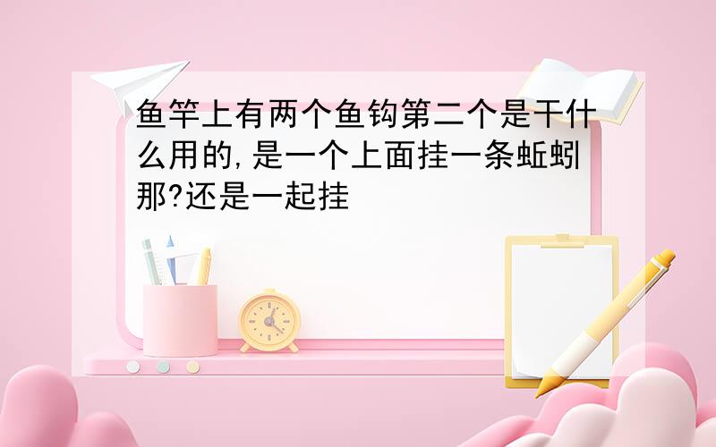 鱼竿上有两个鱼钩第二个是干什么用的,是一个上面挂一条蚯蚓那?还是一起挂