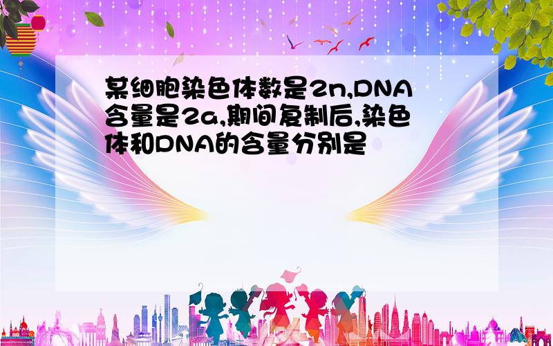 某细胞染色体数是2n,DNA含量是2a,期间复制后,染色体和DNA的含量分别是