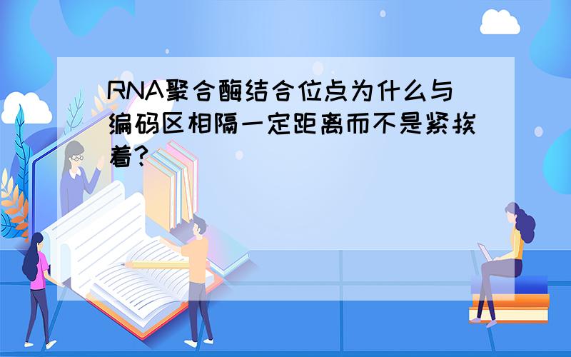 RNA聚合酶结合位点为什么与编码区相隔一定距离而不是紧挨着?